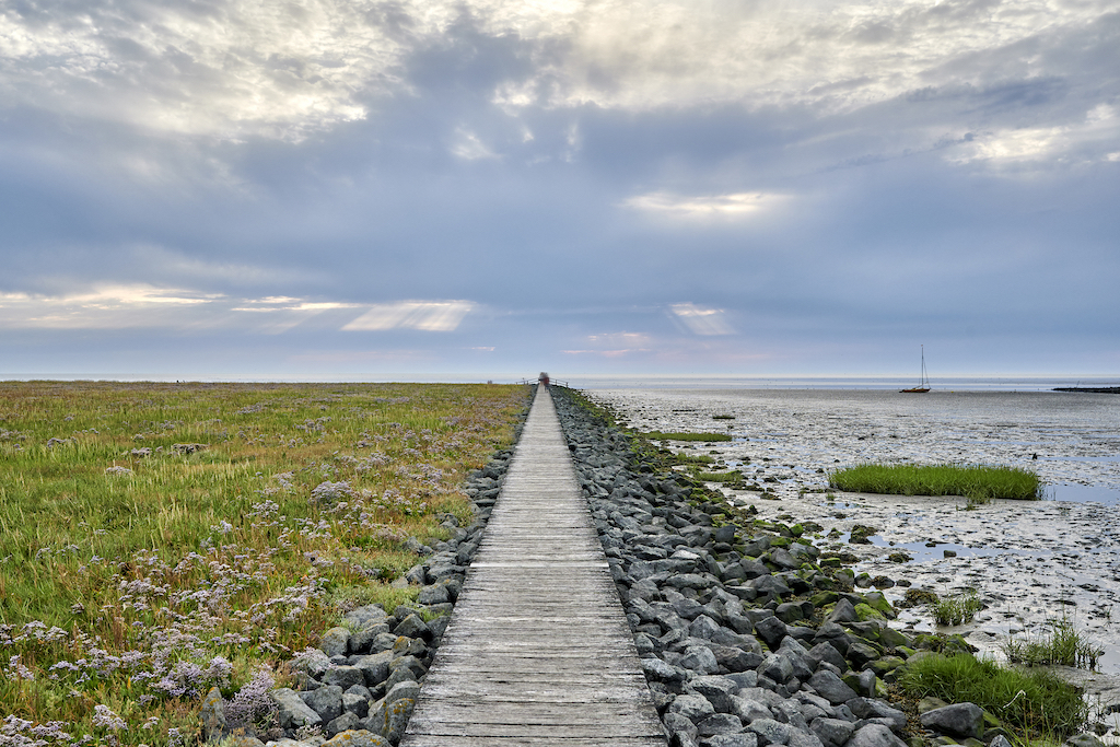 Gruppe von Menschen wandert barfuß über das Watt bei Ebbe unter blauem Himmel in Dorum-Neufeld.